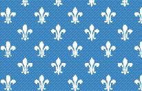 Flag for Aiseau-Presles